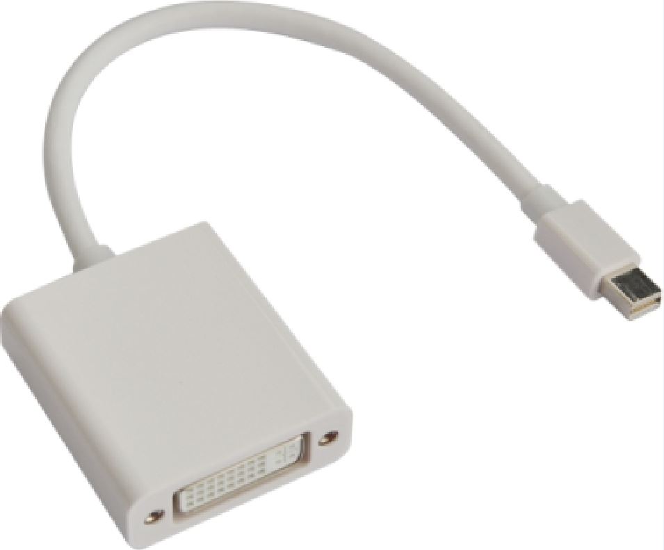 Astrotek Mini DisplayPort DP to DVI Cable 20cm - 20 pins