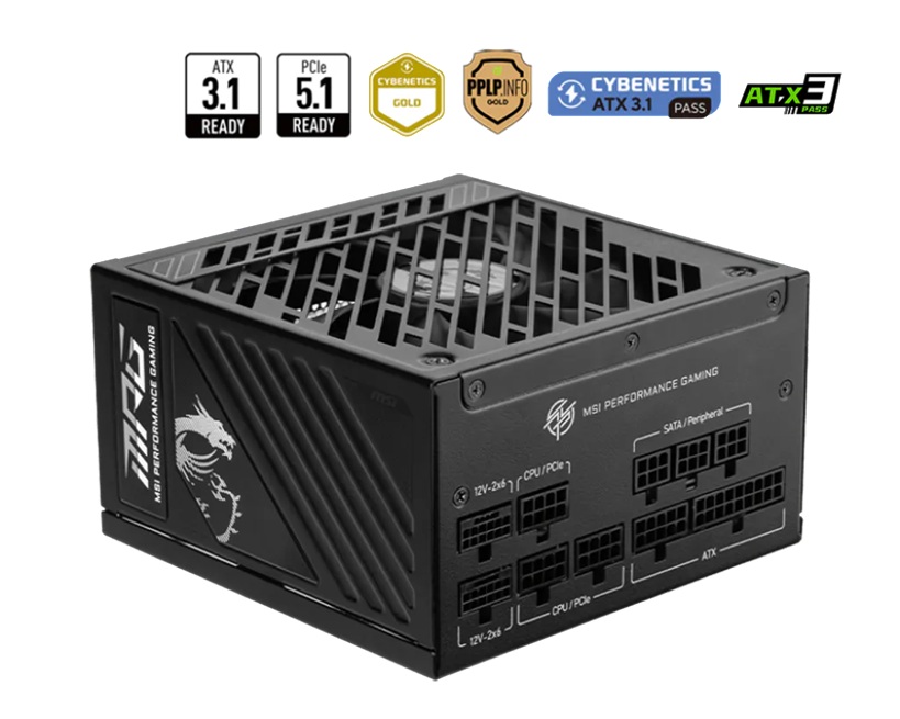 MSI MPG A1000GS PCIE5