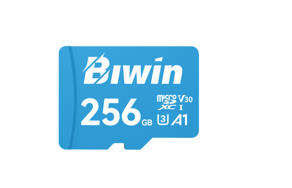 BIWIN BMMS100256G-RGX