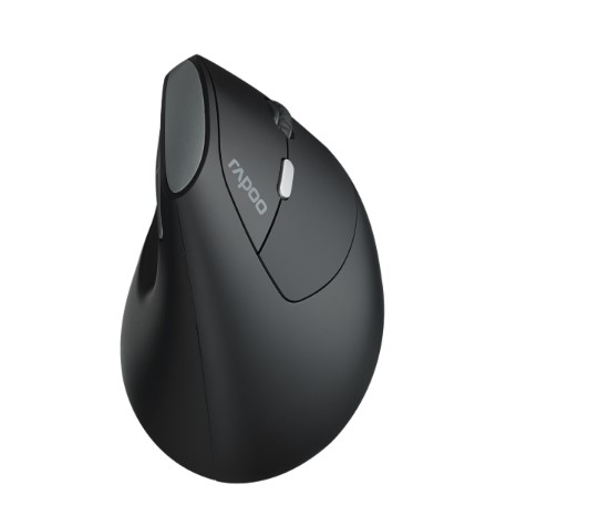 Rapoo EV250