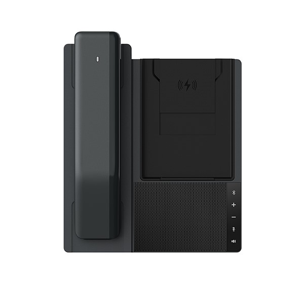 Fanvil DB20-H