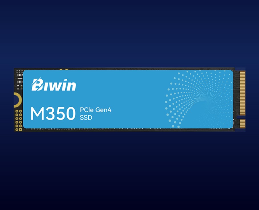BIWIN BM350NN500G-RGX