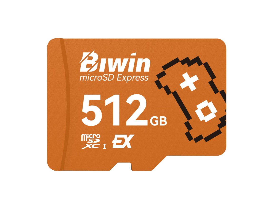 BIWIN BAME300512G-RGX